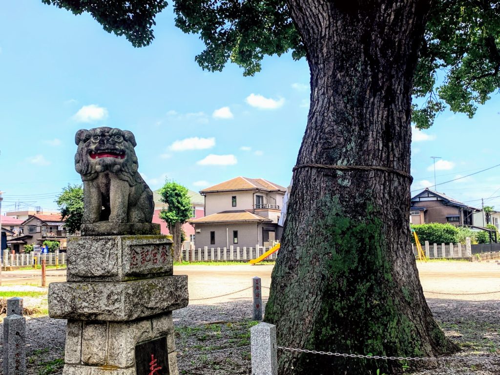 八幡神社の狛犬と御神木
