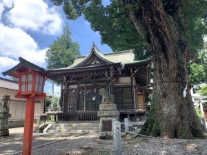 八幡神社と御神木