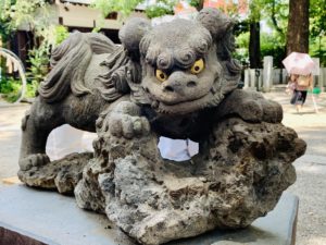 田無神社・吽形狛犬の写真