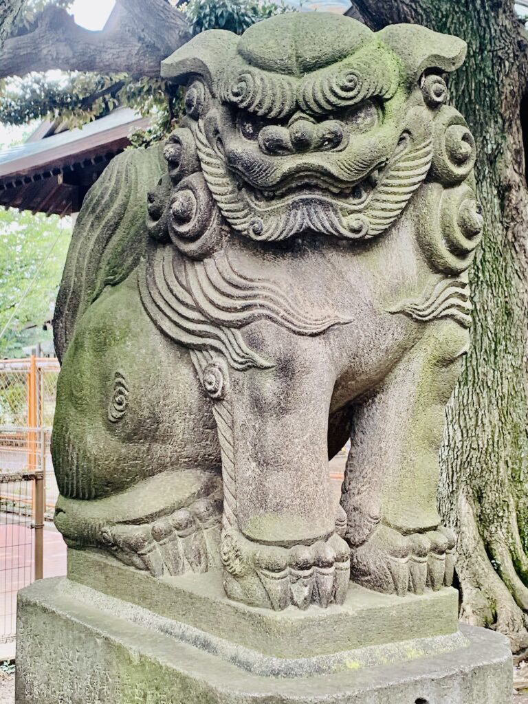 旗岡八幡神社・吽形狛犬