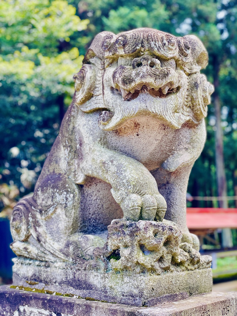 須賀神社・吽形狛犬