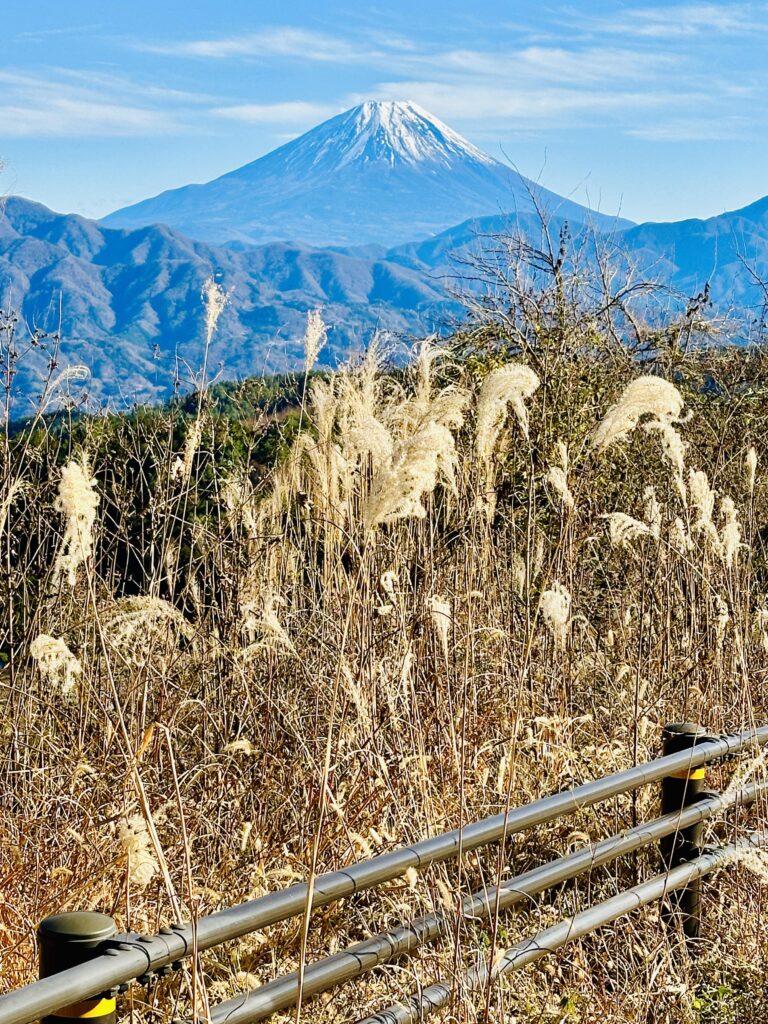 富士の風景
