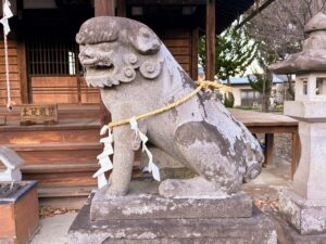 天神社の阿形狛犬