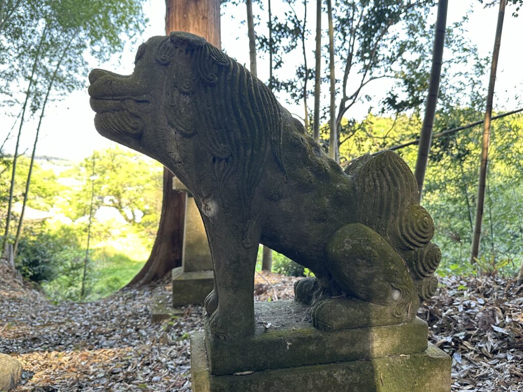 突き出たお鼻の狛犬さん。