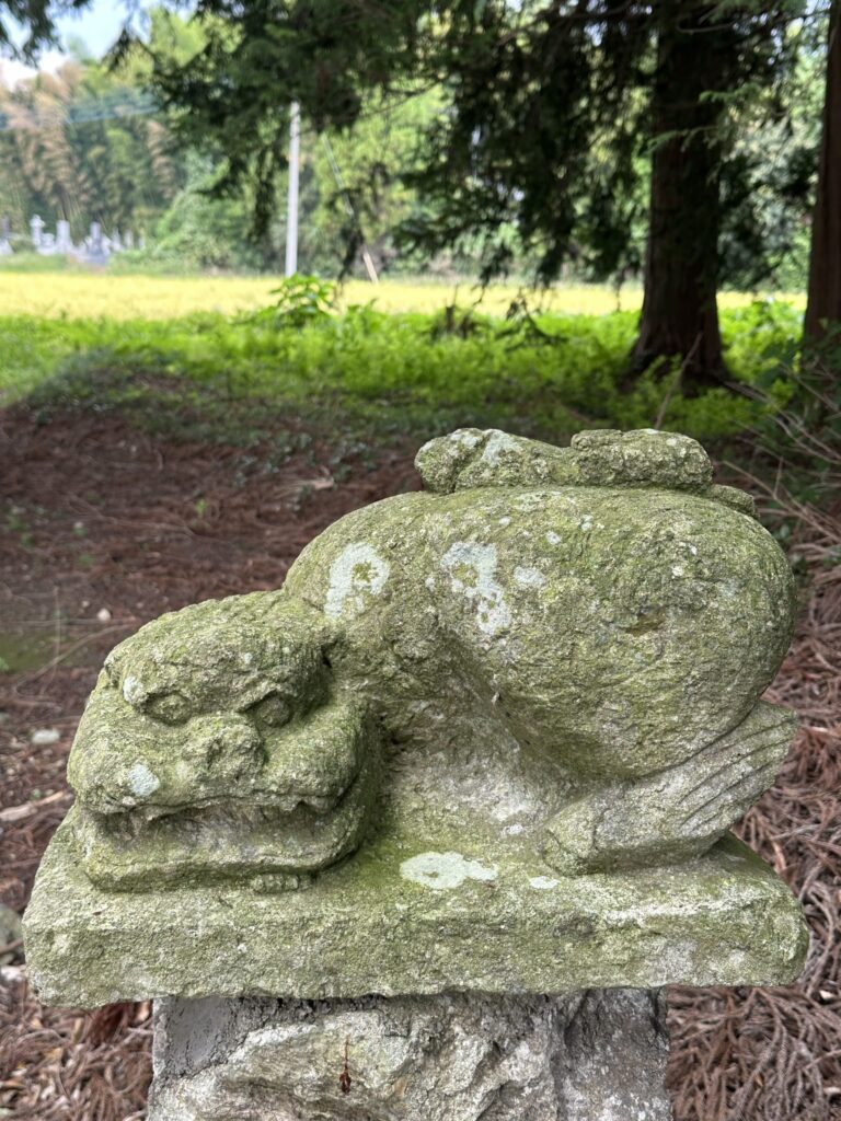 左側・阿形の狛犬